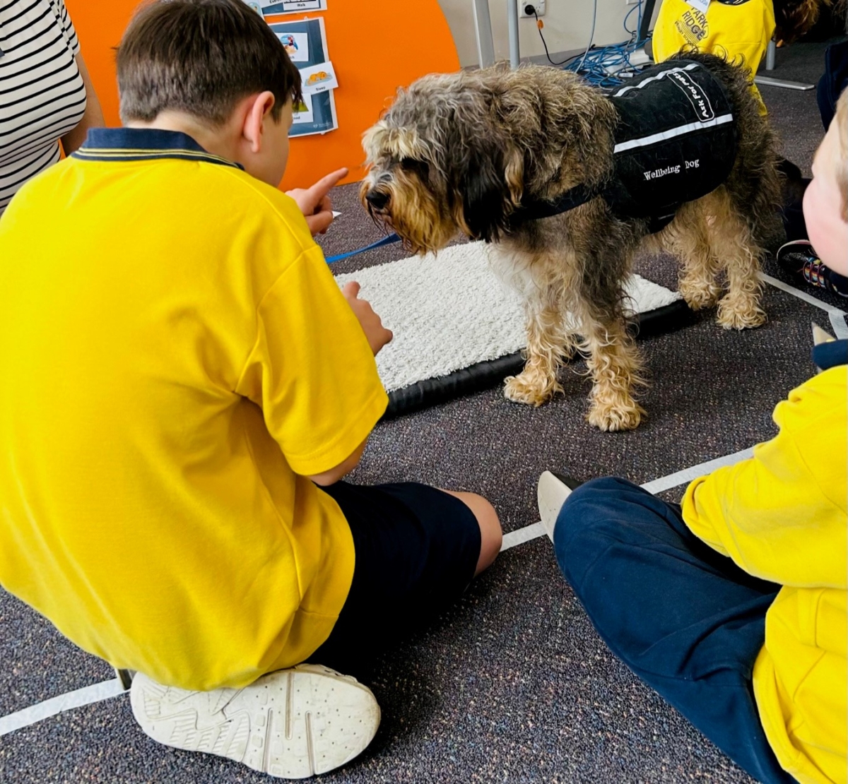 Boy with Scout - Wellbeing Dog