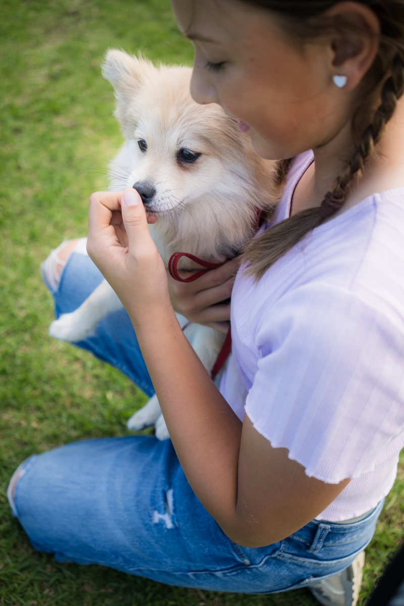 Pippin and friend - Wellbeing Dog