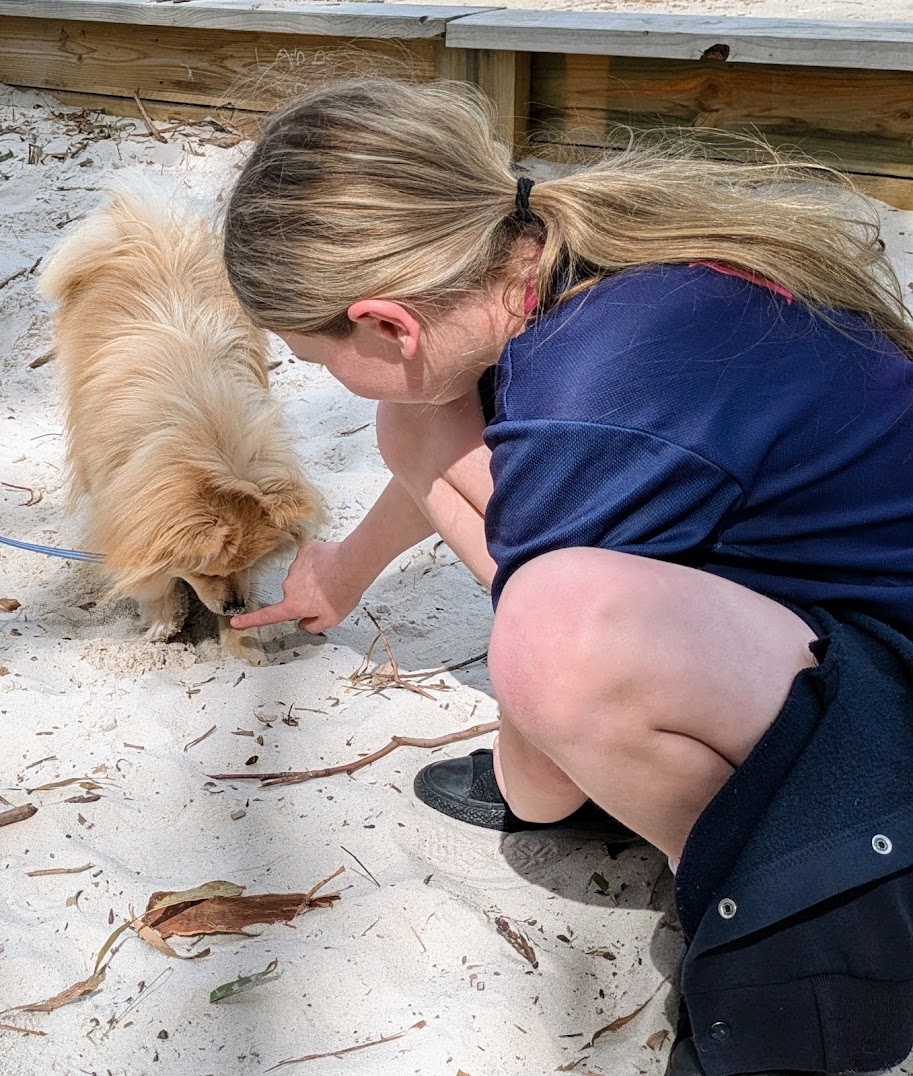 Pippin and friend - Wellbeing Dog