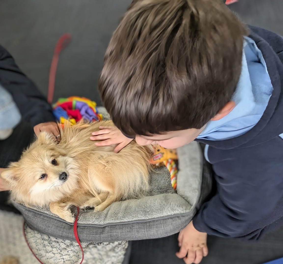 Pippin and friend - Wellbeing Dog